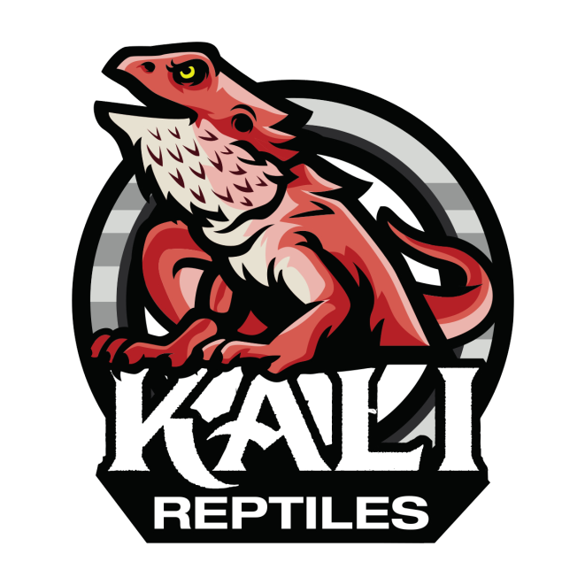 Odgajivačnica reptila Beograd KALI REPTILES