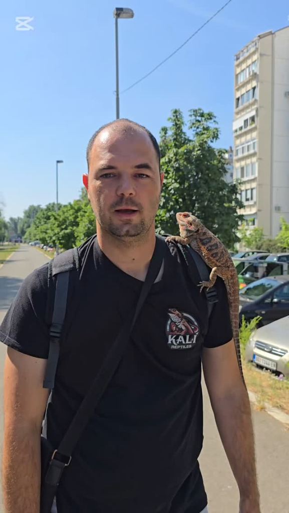 O nama Kali Reptiles