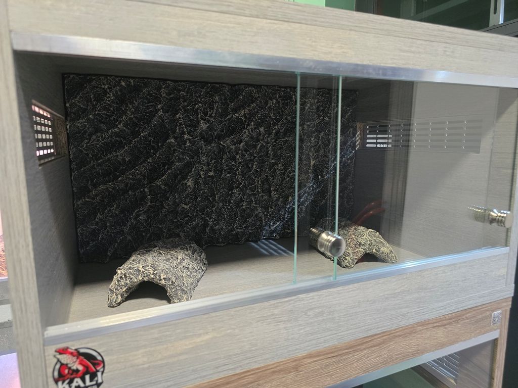 Terarijumi za reptile