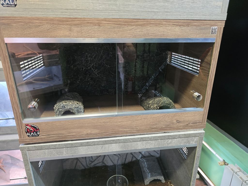 Terarijumi za reptile