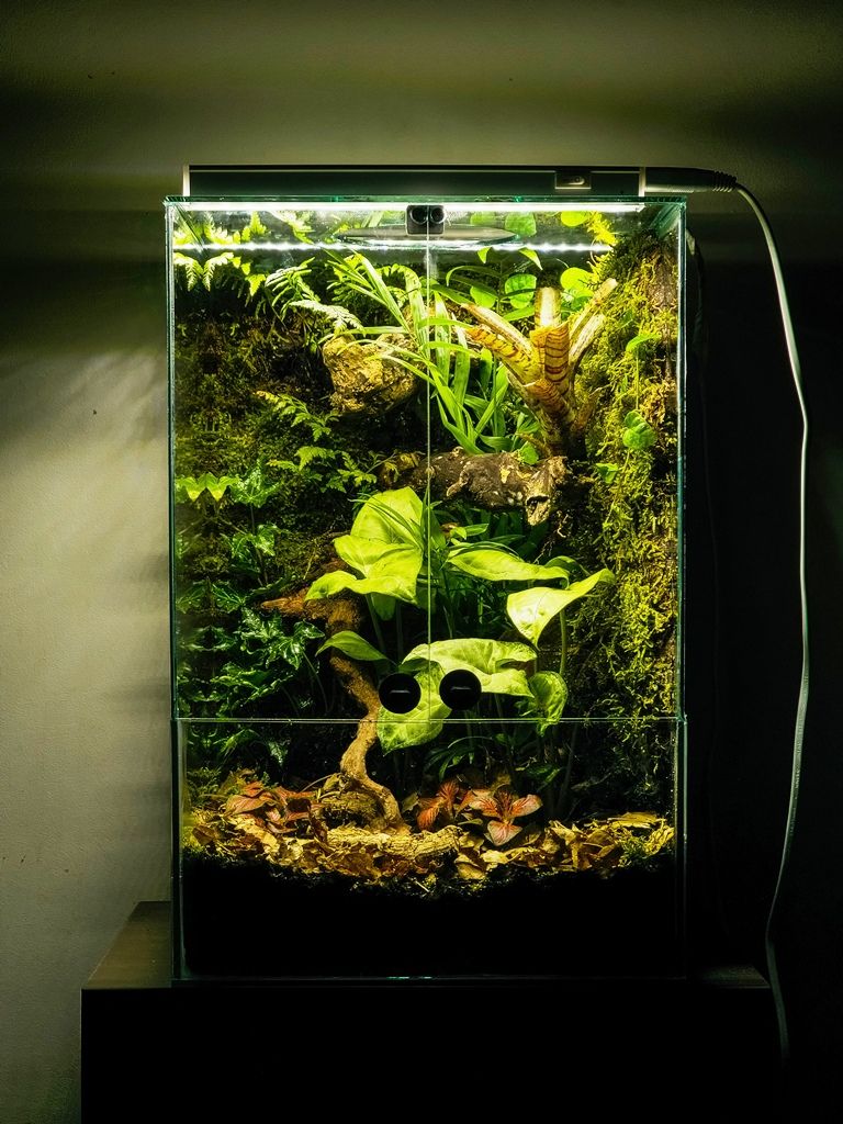 Bioaktivni terarijum