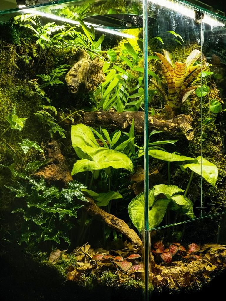 Bioaktivni terarijum