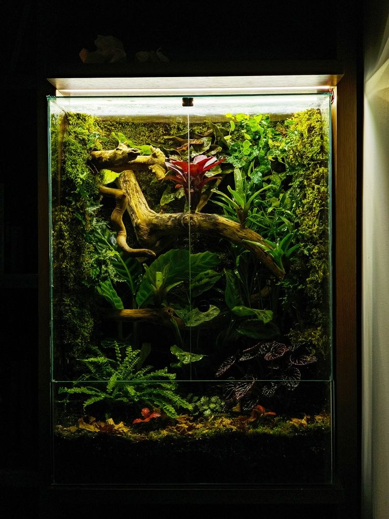 Bioaktivni terarijum