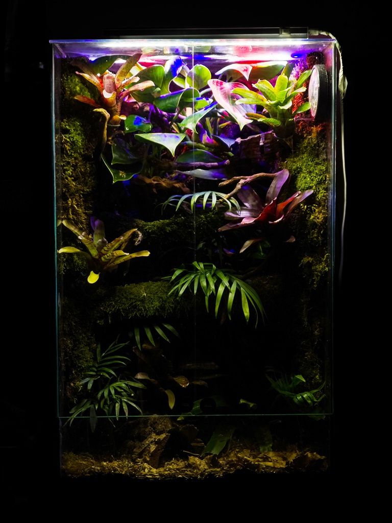 Bioaktivni terarijum