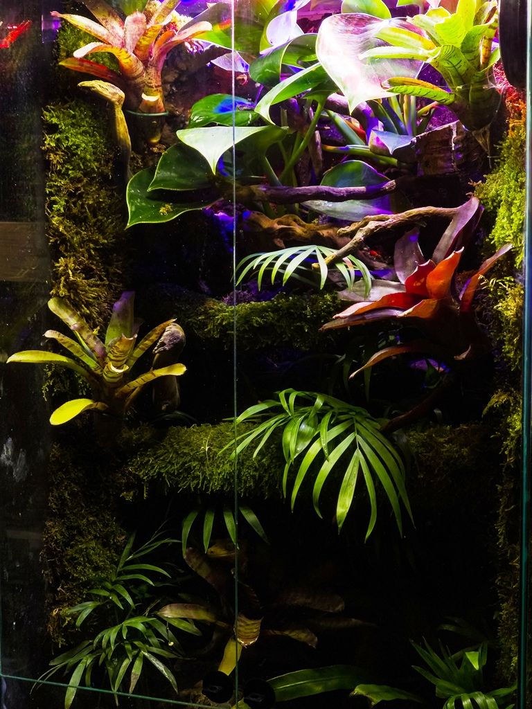 Bioaktivni terarijum