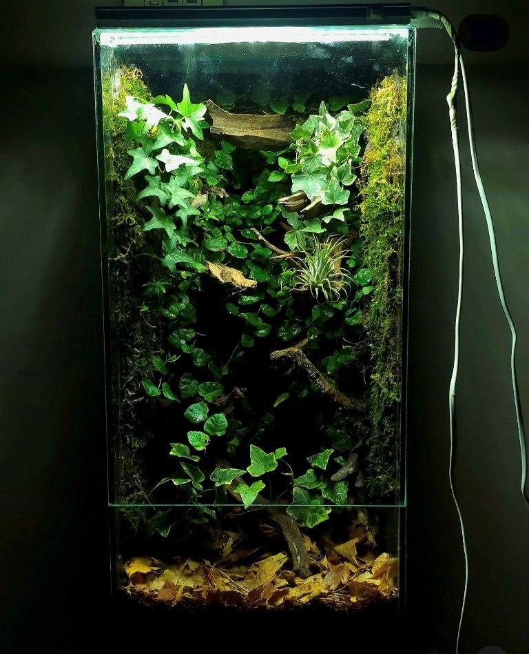 Bioaktivni terarijum