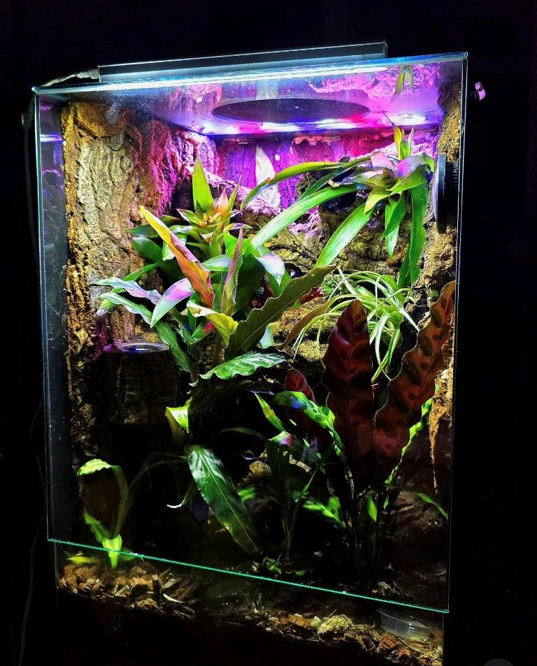 Bioaktivni terarijum